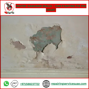 Water-Damaged Walls – Can Painting Fix the Issue?