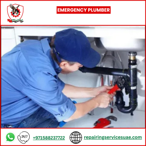 Emergency Plumber