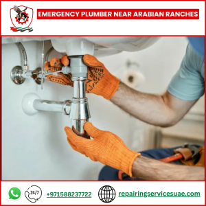 Emergency Plumber Near Arabian Ranches