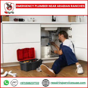 Emergency Plumber Near Arabian Ranches