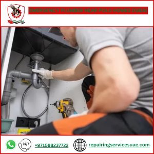 Emergency Plumber Near Polo Homes Dubai