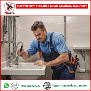 Emergency Plumber Near Arabian Ranches