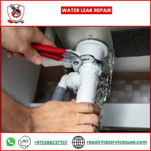 Water Leak Repair
