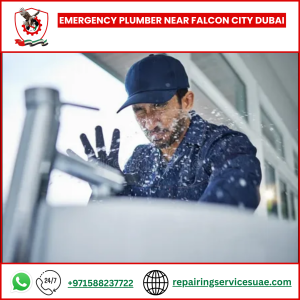 Emergency Plumber Near Falcon City Dubai