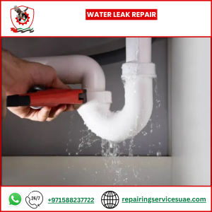 Water Leak Repair