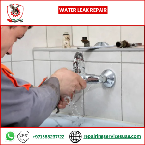 Water Leak Repair