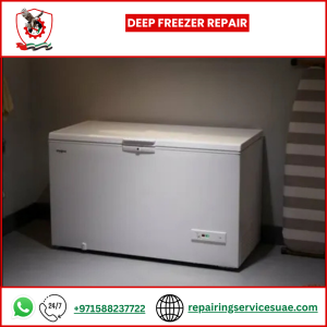 Deep Freezer Repair