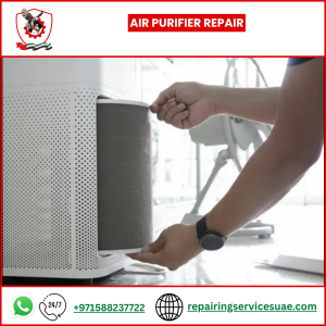 Air Purifier Repair