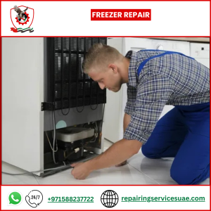 Freezer Repair