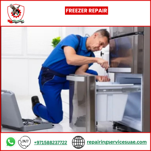 Freezer Repair