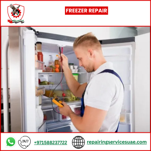 Freezer Repair