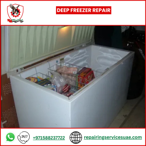 Deep Freezer Repair