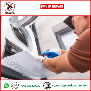 Dryer Repair