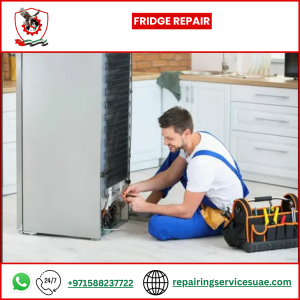 Fridge Repair
