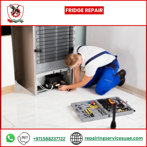 Fridge Repair