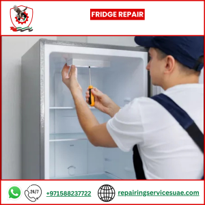 Fridge Repair