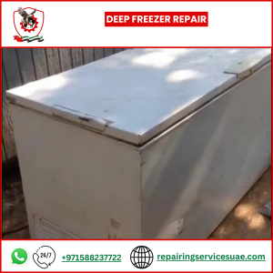 Deep Freezer Repair